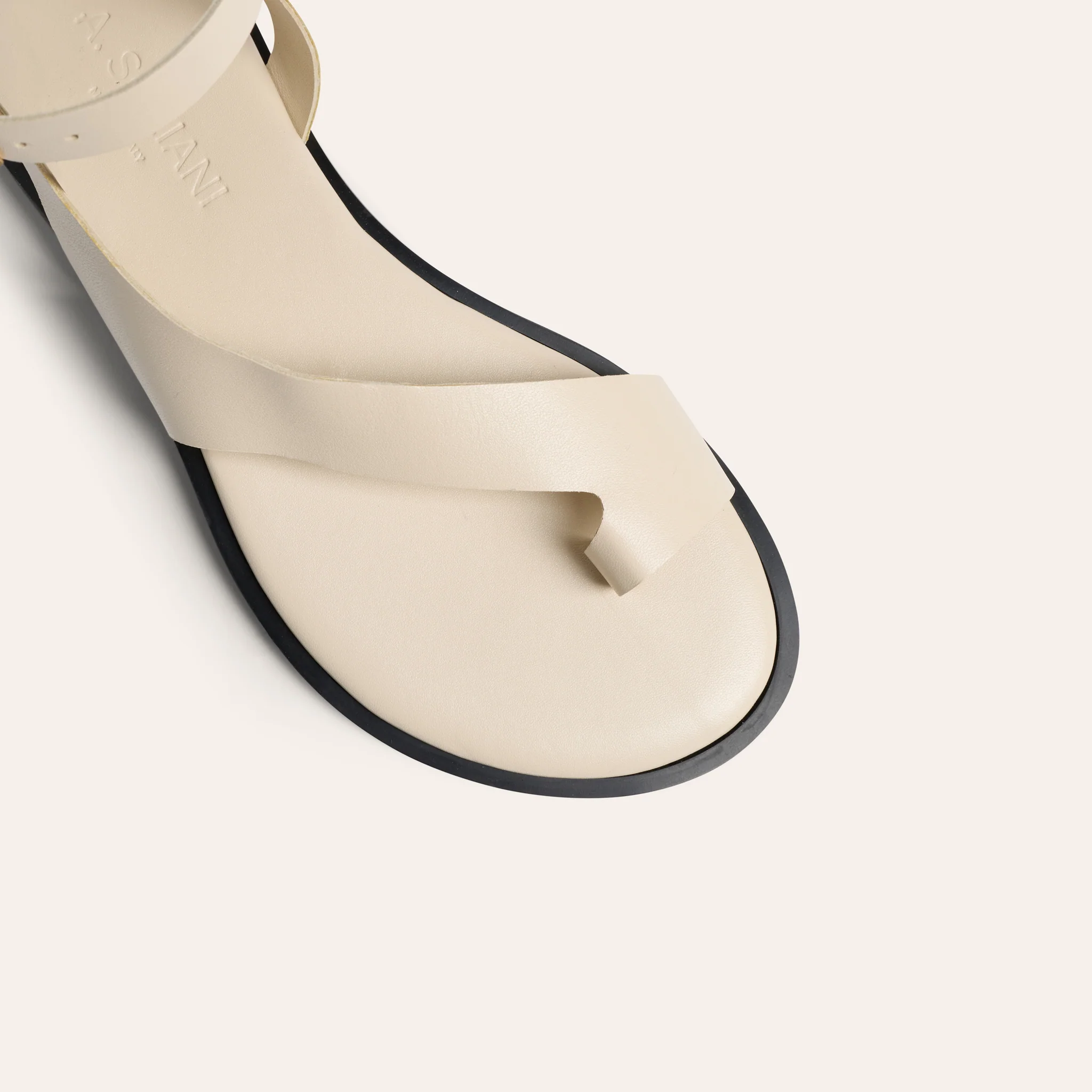 Umbria - Ivory - Image 6